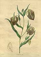  no thumbnail available