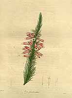  no thumbnail available