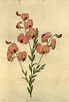  no thumbnail available