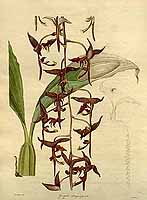  no thumbnail available