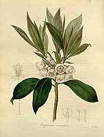  no thumbnail available