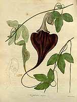  no thumbnail available