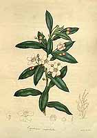  no thumbnail available