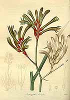  no thumbnail available