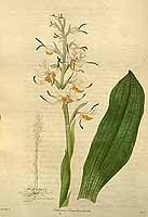  no thumbnail available