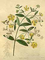  no thumbnail available