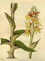  no thumbnail available