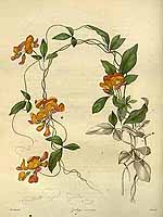  no thumbnail available