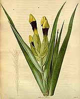  no thumbnail available