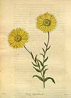  no thumbnail available