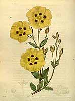  no thumbnail available