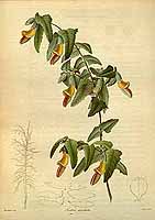  no thumbnail available