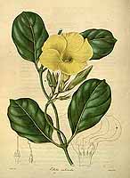  no thumbnail available