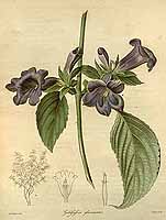  no thumbnail available