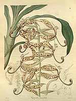  no thumbnail available