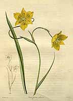  no thumbnail available