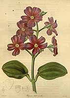  no thumbnail available