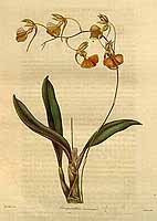  no thumbnail available