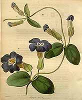  no thumbnail available