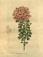  no thumbnail available