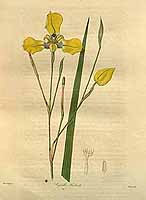  no thumbnail available