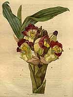  no thumbnail available