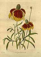  no thumbnail available