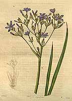  no thumbnail available