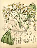  no thumbnail available