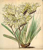  no thumbnail available