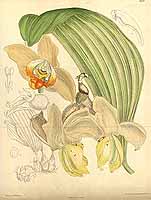  no thumbnail available