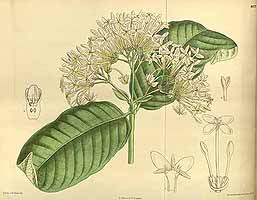  no thumbnail available