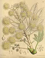  no thumbnail available