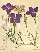  no thumbnail available