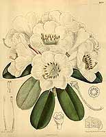  no thumbnail available