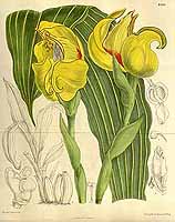  no thumbnail available