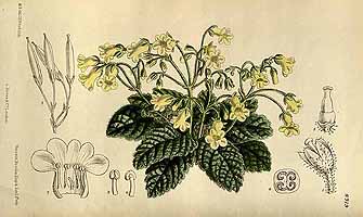  no thumbnail available