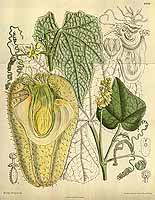  no thumbnail available