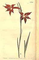  no thumbnail available