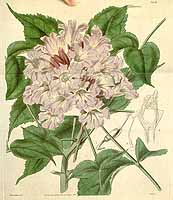  no thumbnail available