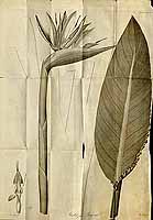  no thumbnail available