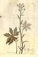  no thumbnail available