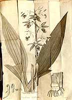  no thumbnail available