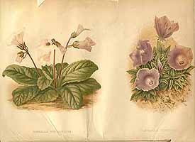  no thumbnail available