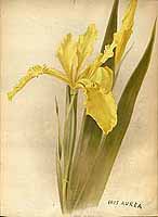  no thumbnail available