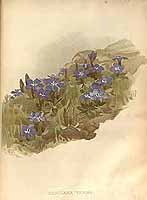  no thumbnail available