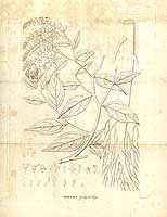  no thumbnail available