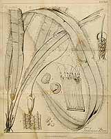  no thumbnail available