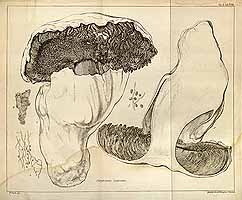  no thumbnail available