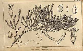  no thumbnail available